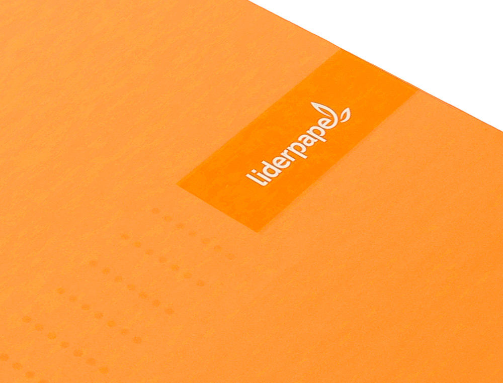 CADERNO ESPIRAL LIDERPAPEL CRAFTY MICRO DIN A4 CAPA FORRADA 120 F 90 GR QUADRICULA 5 MM 5 BANDAS DE CORES 4 CORES COR LA