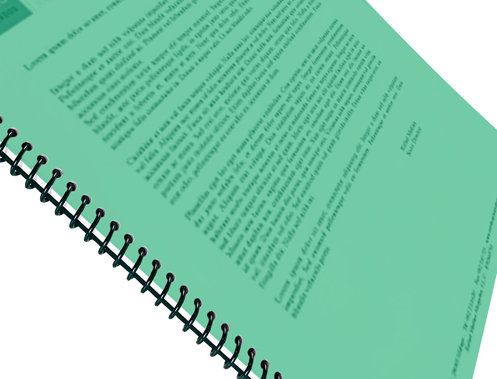CAPA DE ENCADERNACAO LIDERPAPEL POLIPROPILENO DIN A4 0.5 MM VERDE TRANSLUCIDO PACK DE 100 UNIDADES