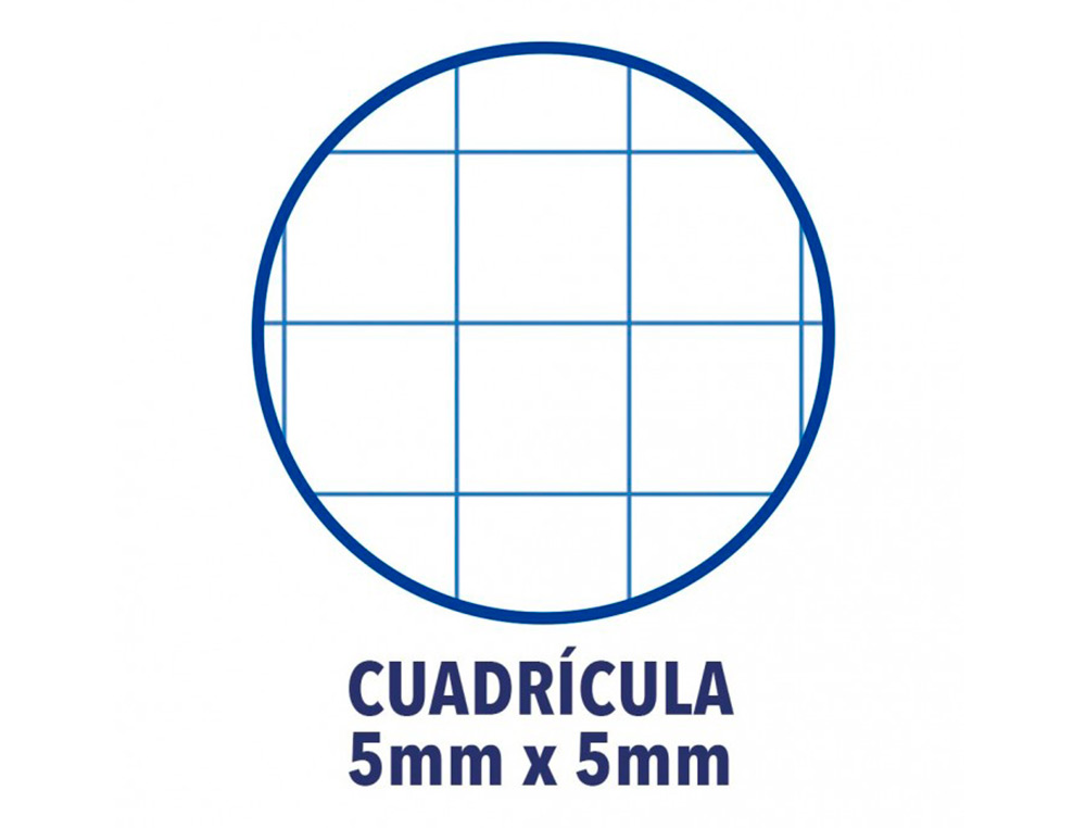 RECARGA COR 1 OXFORD DIN A4+ 80 FOLHAS 90 GR QUADRICULA 5 MM 4 FUROS COR ROSA CHICLET