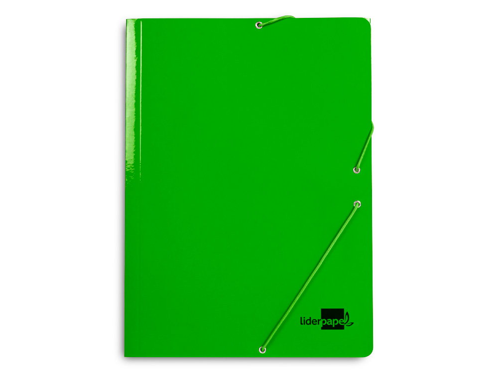 PASTA LIDERPAPEL DE ELASTICOS FOLIO 3 ABAS CARTAO PLASTIFICADO COR VERDE