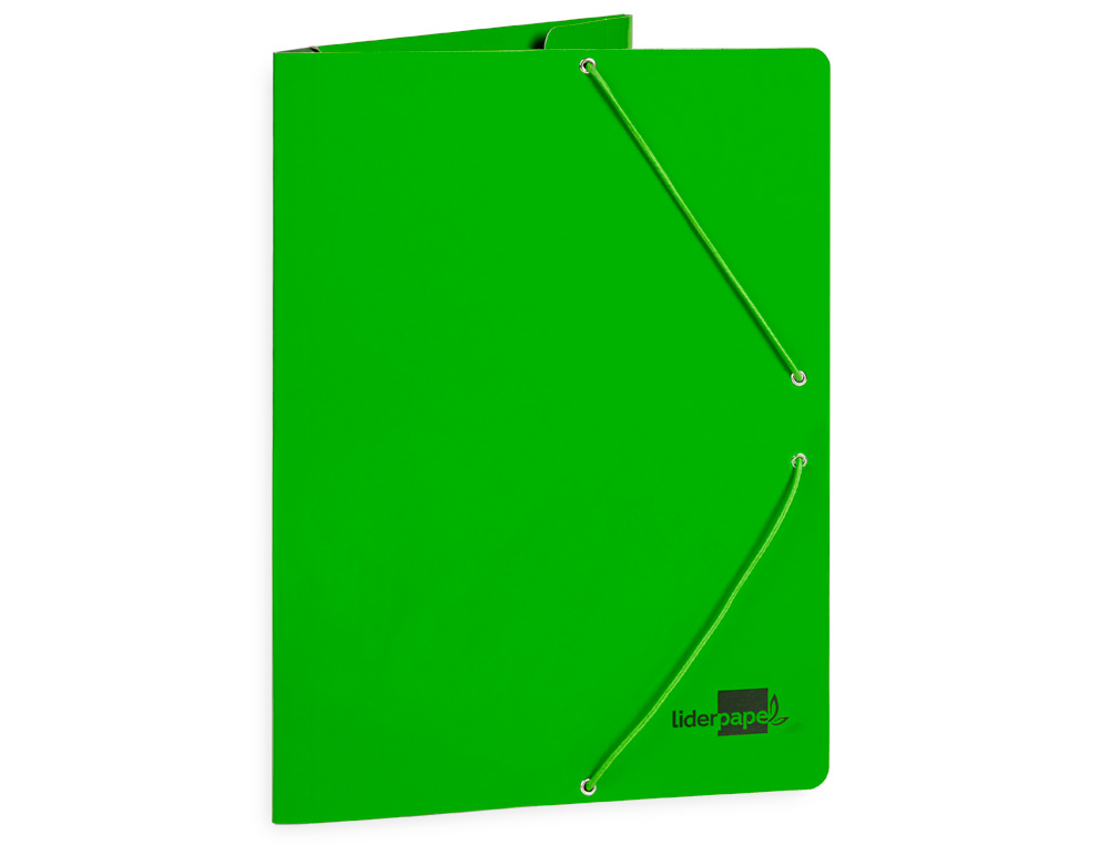 PASTA LIDERPAPEL DE ELASTICOS FOLIO 3 ABAS CARTAO PLASTIFICADO COR VERDE