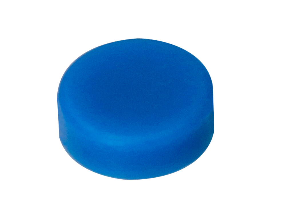 IMAN DE SINALIZACAO LIDERPAPEL ECOUSE PP RECICLADO PARA QUADRO MAGNETICO 25 MM CAIXA DE 10 UNIDADES CORES SORTIDAS
