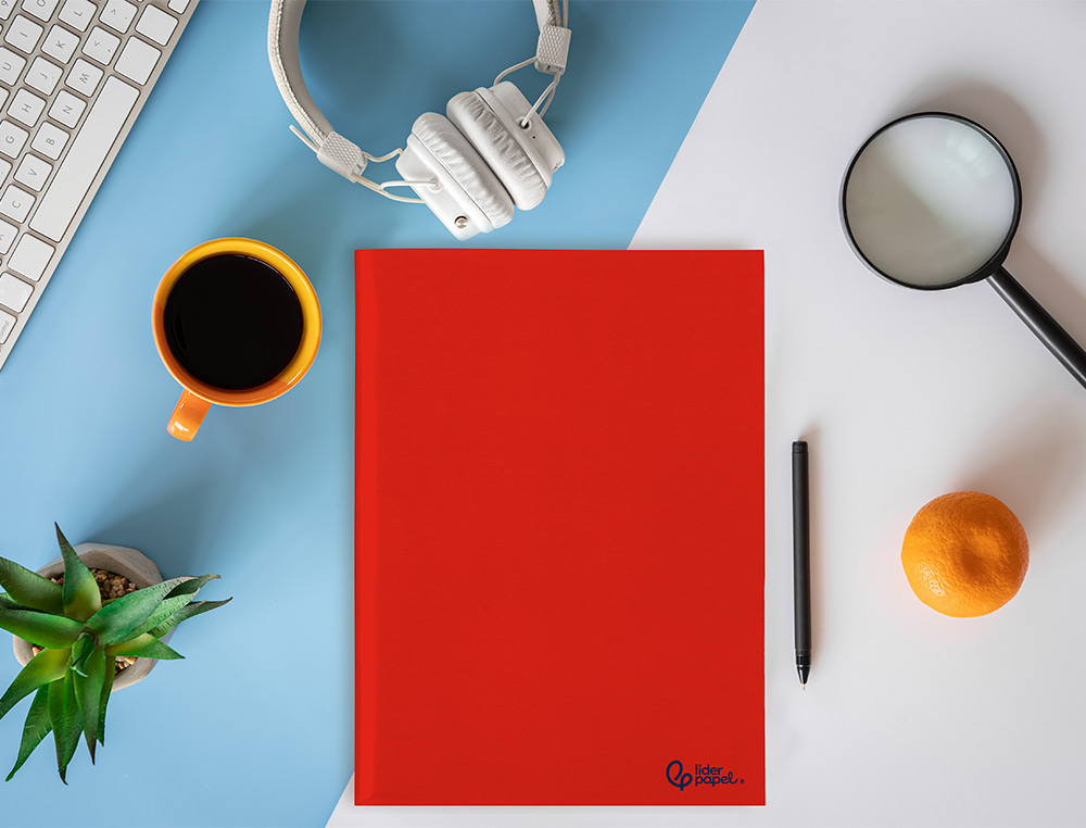 CADERNO AGRAFADO LIDERPAPEL SMART DIN A4 48 F 75GR PAUTADO COM DUPLA MARGEM CORES SORTIDAS
