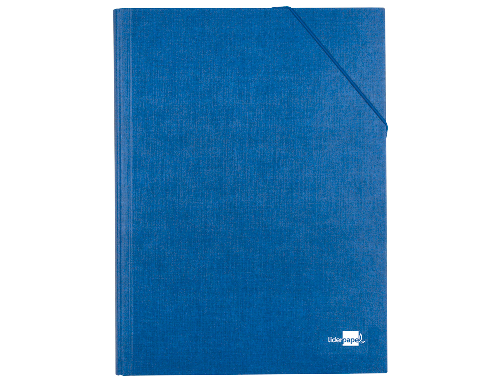 PASTA CLASSIFICADORA LIDERPAPEL COM 12 DEPARTAMENTOS AZUL