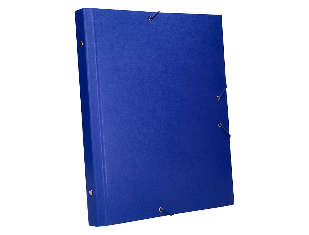PASTA CLASSIFICADORA LIDERPAPEL COM 12 DEPARTAMENTOS AZUL