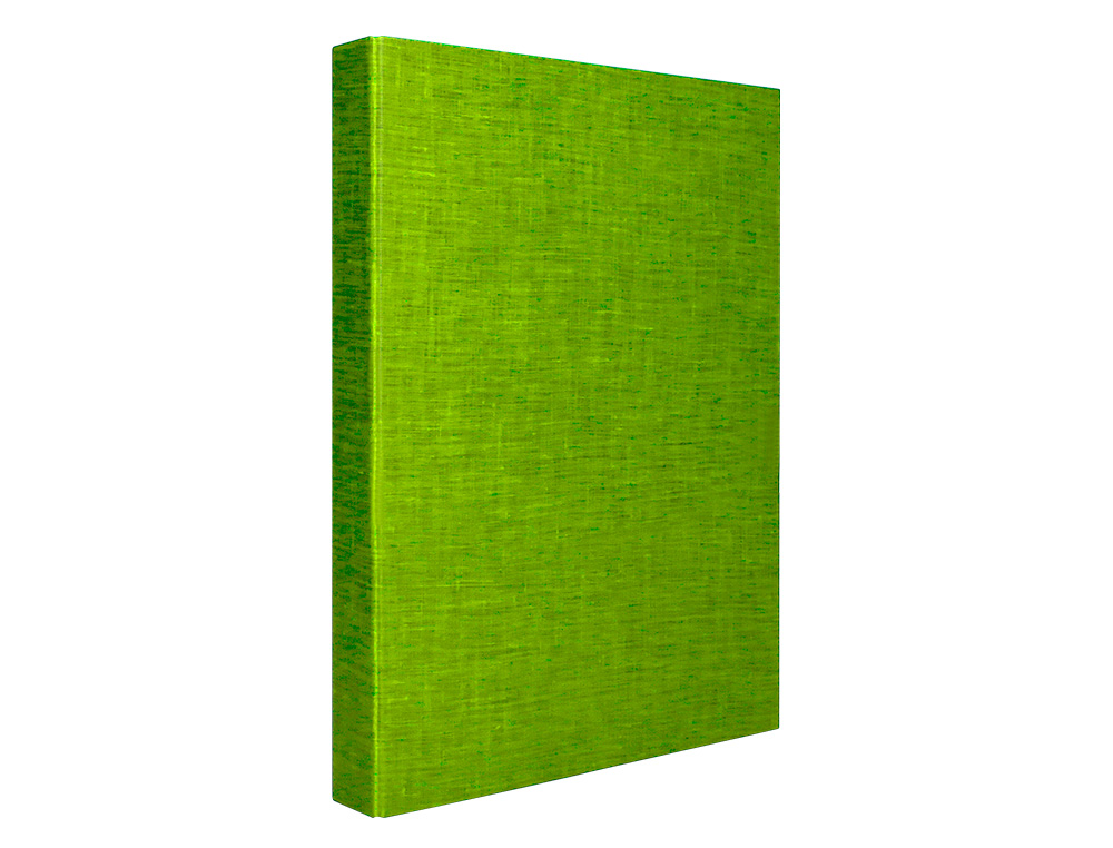 CAPA LIDERPAPEL PAPER COAT 4 ANEIS 25 MM FROSTY VERDE