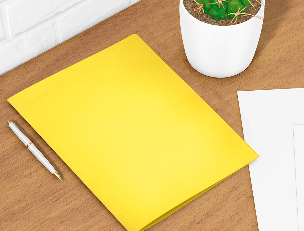 CLASSIFICADOR LIDERPAPEL EM CARTOLINA DE 180 GRS, FOLIO, AMARELO INTENSO