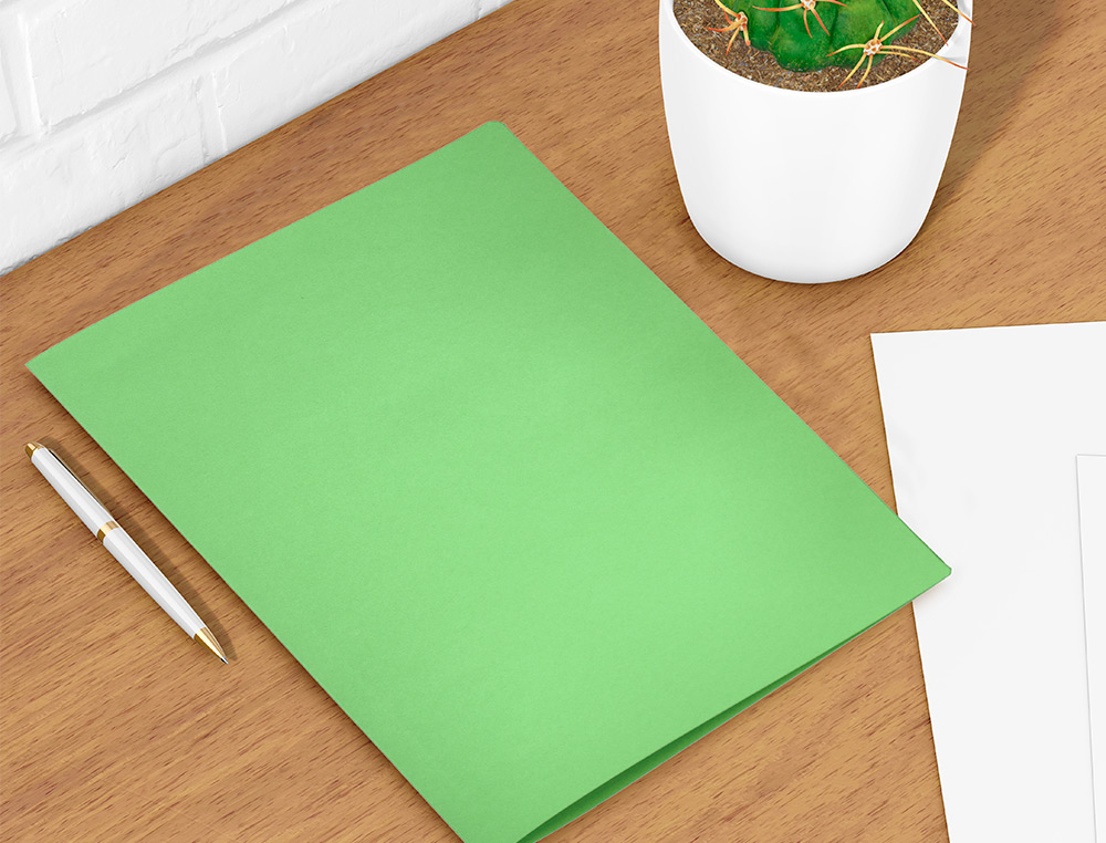 CLASSIFICADOR LIDERPAPEL EM CARTOLINA DE 180 GRS, FOLIO, VERDE INTENSO