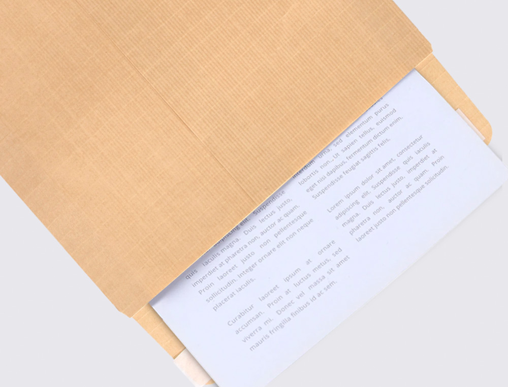 ENVELOPE LIDERPAPEL N.13 RADIOGRAFIAS CASTANHO 310X410MM TIRA DE SILICONE PACK DE 250 UNIDADES