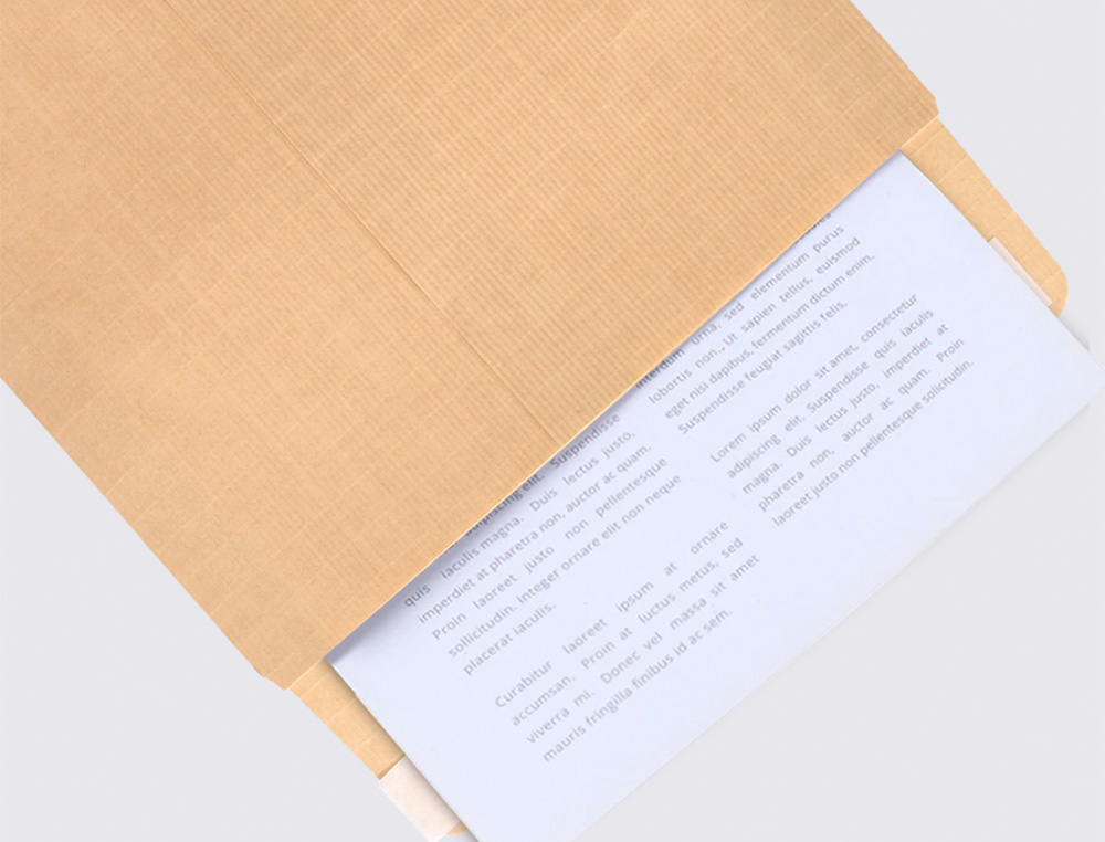 ENVELOPE LIDERPAPEL N.14 BOLSA B5 CASTANHO 176X250 MM TIRA DE SILICONE PACK DE 500 UNIDADES