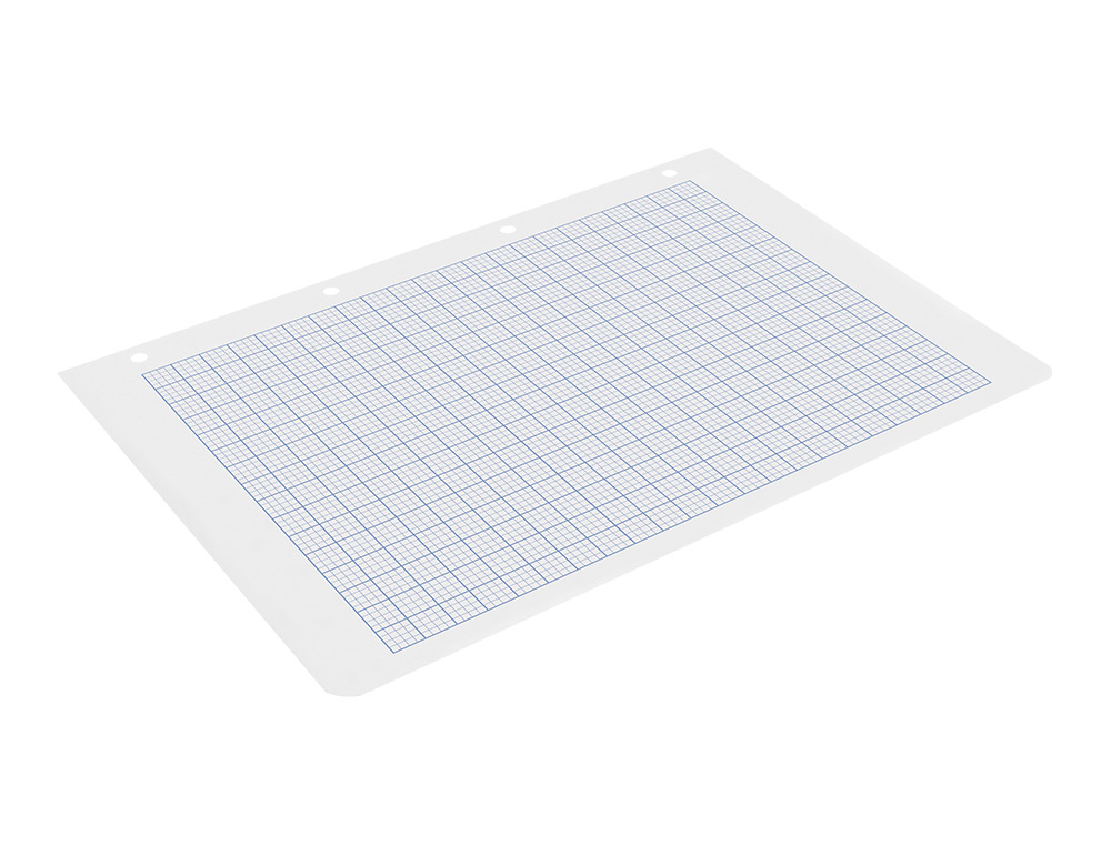 RECAMBIO LIDERPAPEL FOLIO 100 H. RAYADO Nº 46 4 TALADROS 60 GR.