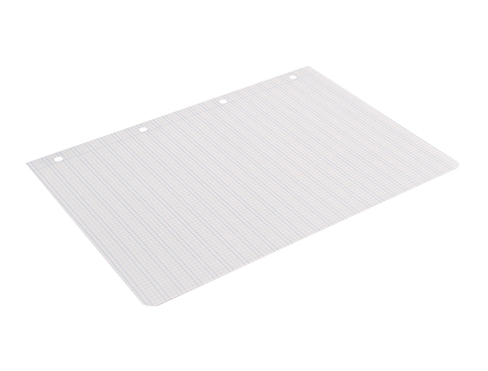RECAMBIO LIDERPAPEL FOLIO 100 H 4 TALADROS 70 GR CUADRICULADO PAUTADO 3 MM CON MARGEN