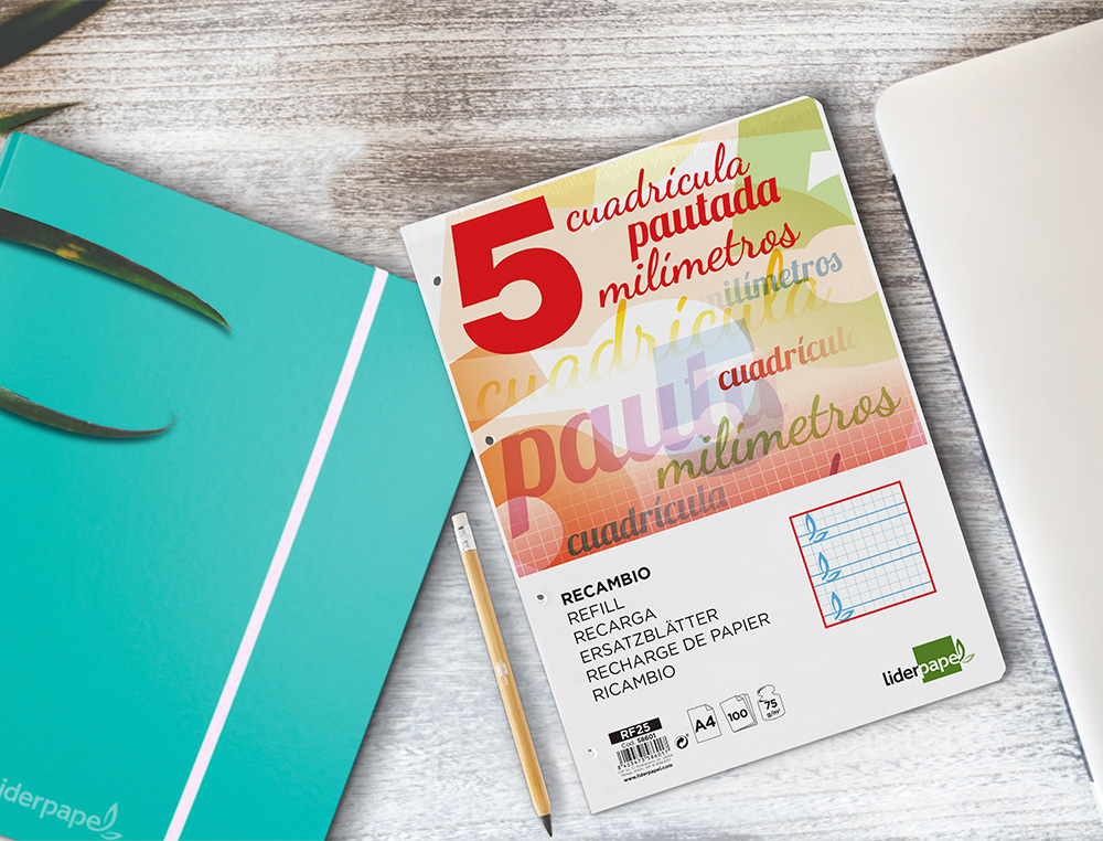 RECAMBIO LIDERPAPEL FOLIO 100 H 4 TALADROS 70 GR CUADRICULADO PAUTADO 5 MM CON MARGEN