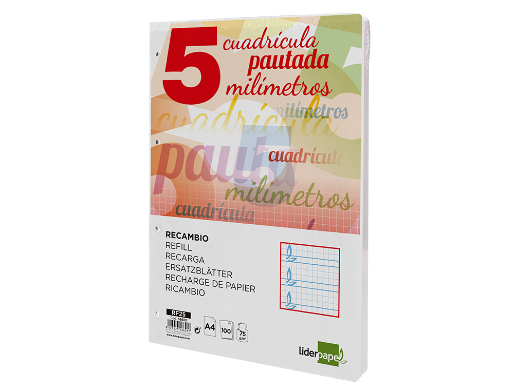 RECAMBIO LIDERPAPEL FOLIO 100 H 4 TALADROS 70 GR CUADRICULADO PAUTADO 5 MM CON MARGEN