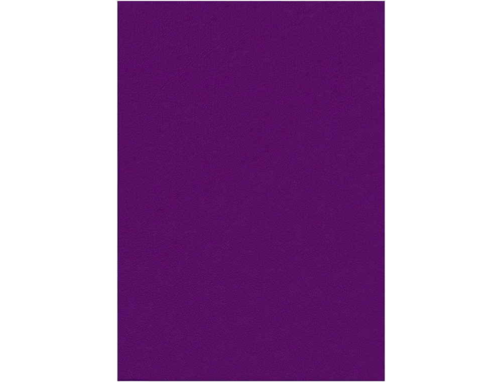FELTRO LIDERPAPEL 50X70CM VIOLETA