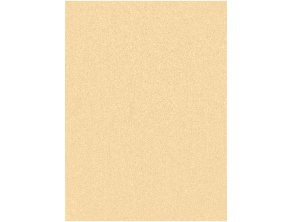 FELTRO LIDERPAPEL 50X70CM CARNE
