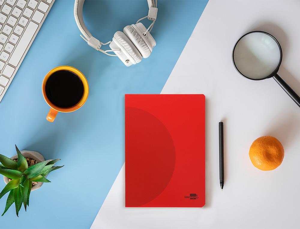 CADERNO AGRAFADO LIDERPAPEL 360 CAPA DE PLASTICO DIN A5 48 F 90 GR PAUTADO COM DUPLA MARGEM CORES SORTIDAS