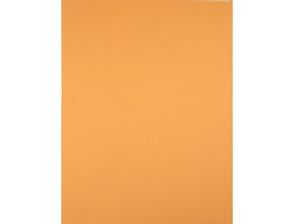 CARTOLINA LIDERPAPEL 50X65 CM 180 GR AVELA PACK DE 25 UNIDADES