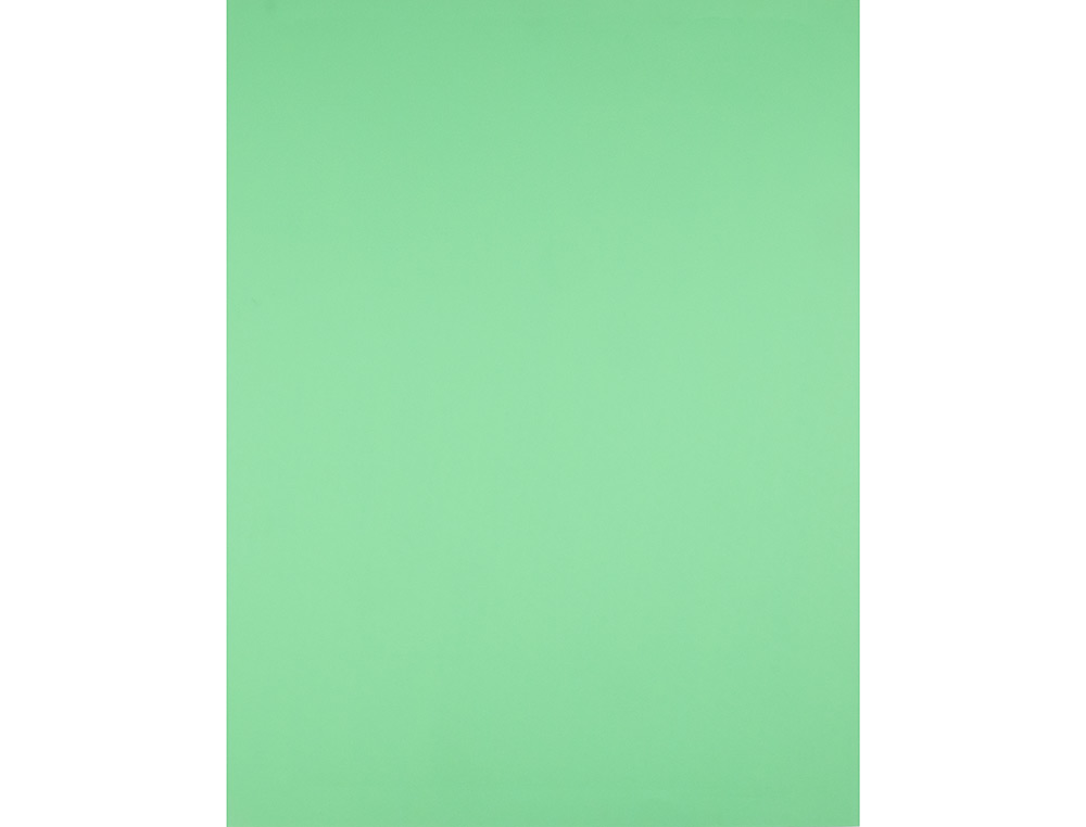 CARTOLINA LIDERPAPEL 50X65 CM 180 GR VERDE ERVA PACK DE 25 UNIDADES